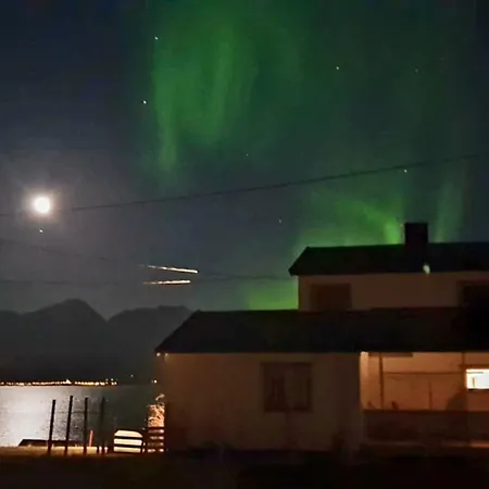 Traditional Located Close To Fjord Lyngseidet