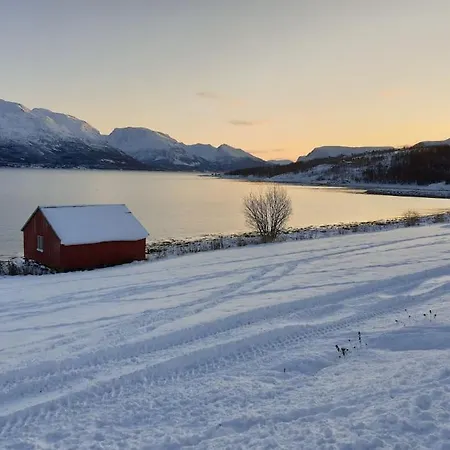 Traditional Located Close To Fjord Holiday home Lyngseidet