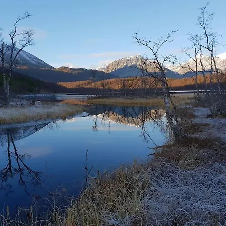 Traditional Located Close To Fjord Lyngseidet