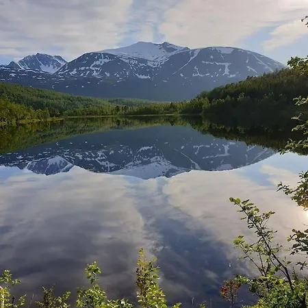 Traditional Located Close To Fjord *