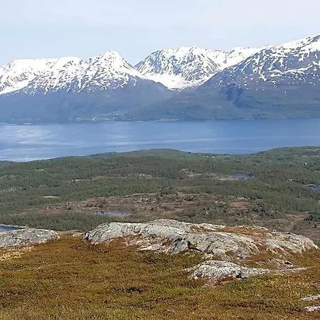 Traditional Located Close To Fjord * Lyngseidet