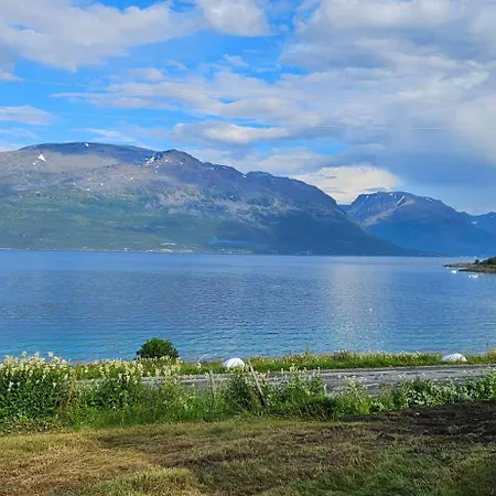 Traditional Located Close To Fjord * Lyngseidet