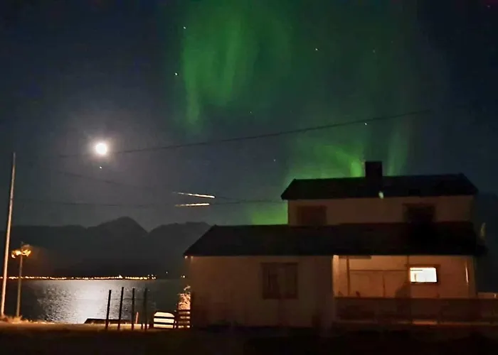 Traditional Located Close To Fjord Lyngseidet