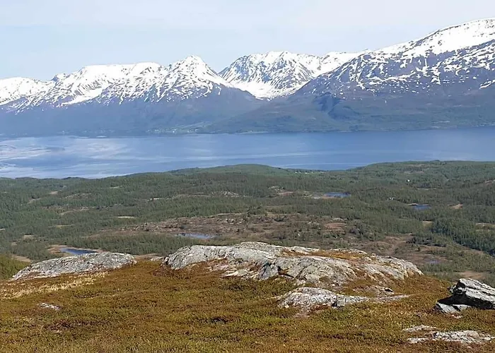 Traditional Located Close To Fjord * Lyngseidet