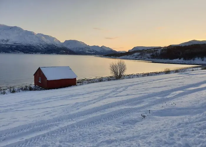 Traditional Located Close To Fjord Feriehus Lyngseidet